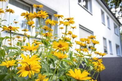 Wohnung zur Miete 329 € 2,5 Zimmer 42,3 m² EG Bocholter Straße 6 Resser Mark Gelsenkirchen 45892