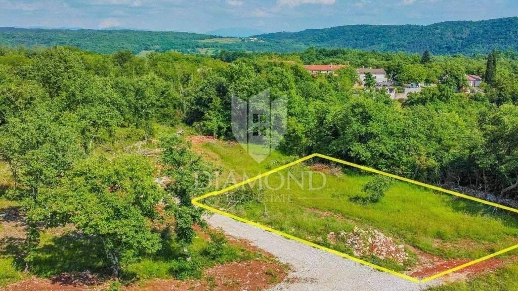 Land-/Forstwirtschaft zum Kauf 78.000 € Groznjan Groznjan