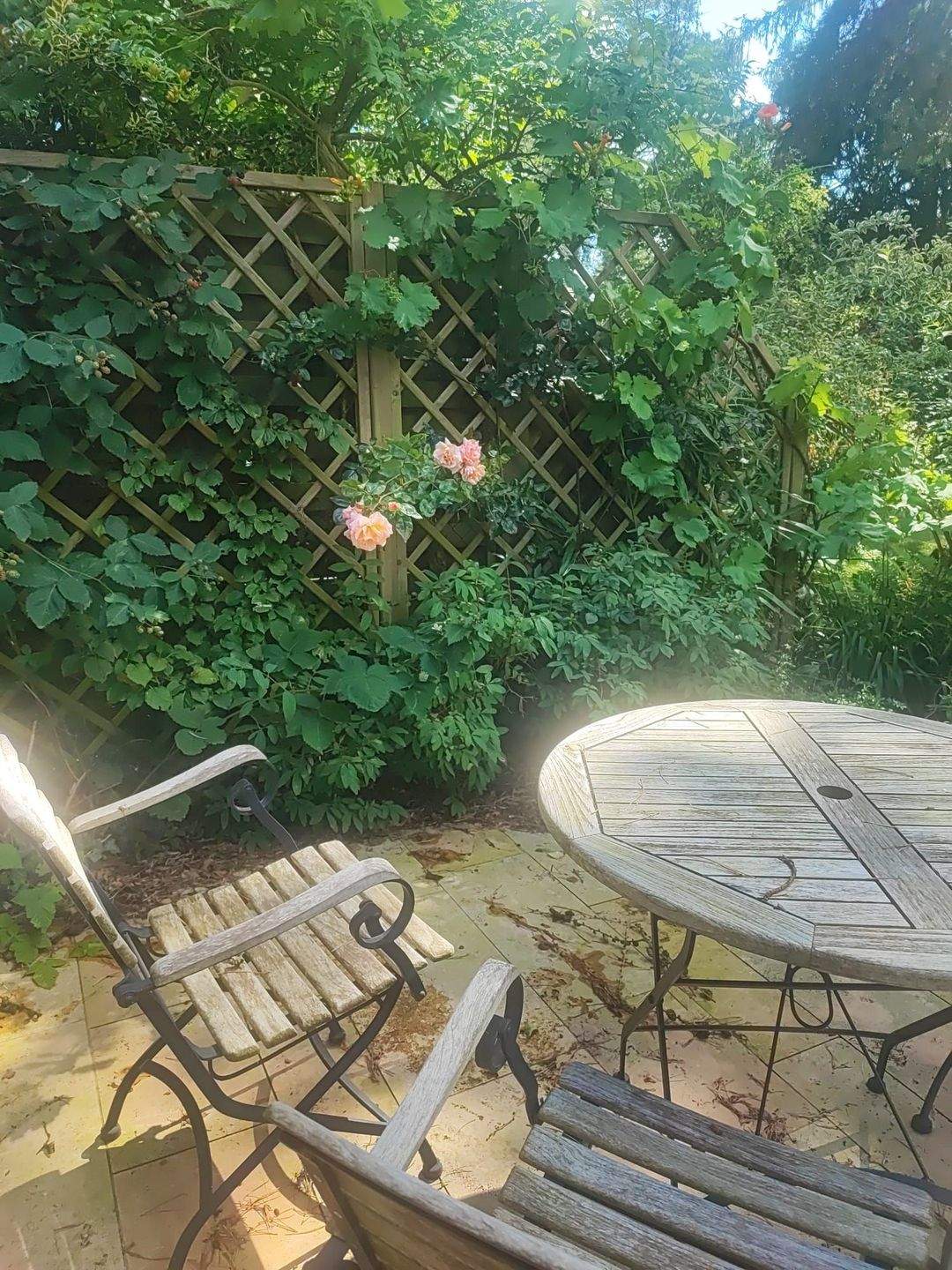 Property thumbnail 25