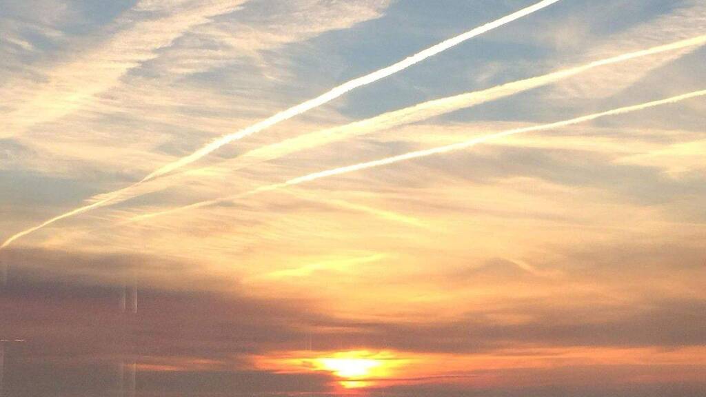 Studio zur Miete Wohnen auf Zeit 740 € 1 Zimmer 35 m² frei ab sofort Barmbek-Nord Hamburg 22307