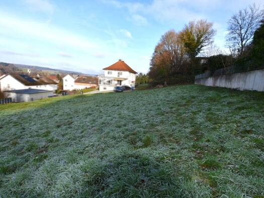 Grundstück zum Kauf 120.000 € 978 m² Grundstück August-Schäfer-Weg Bad König Bad König 64732