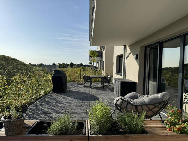 Wohnung zur Miete 1.080 € 1 Zimmer 80 m² EG Merzpark 5 Merzenich Merzenich 52399