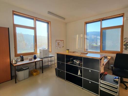 Bürofläche zur Miete provisionsfrei 1 Zimmer 43 m² Bürofläche Bahnhofstraße 8b Wolfurt 6922