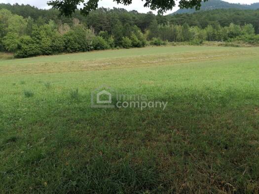 Grundstück zum Kauf 249.000 € 5.178 m² Grundstück Grünbach am Schneeberg 2733