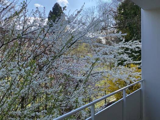 Wohnung zum Kauf 358.000 € 3 Zimmer 73 m² Petershausen Konstanz 78464