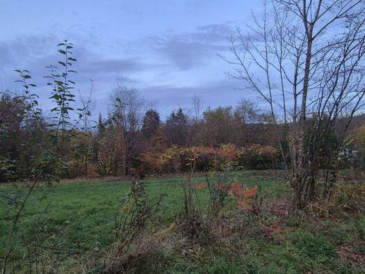 Grundstück zum Kauf 95.000 € 800 m² Grundstück Stadtmitte Völklingen 66333