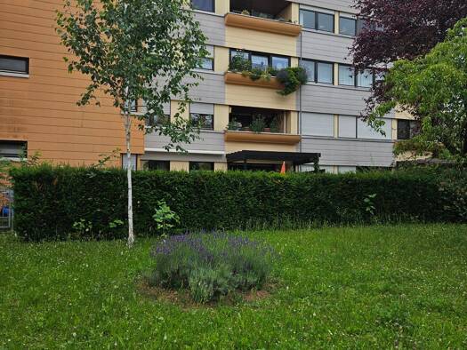 Wohnung zum Kauf provisionsfrei 430.000 € 3,5 Zimmer 97 m² Geschoss -3/4 frei ab 01.11.2026 Tamm 71732