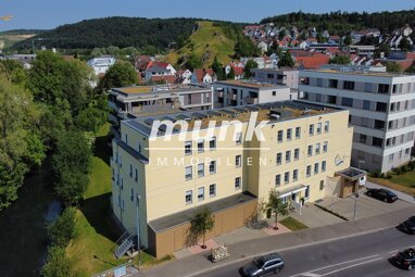 Hotel zur Miete 8.000 € 10 Zimmer Ehrenstein Blaustein 89134