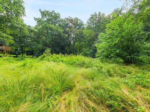 Grundstück zum Kauf 280.000 € 2.260 m² Grundstück Strausberg 15344