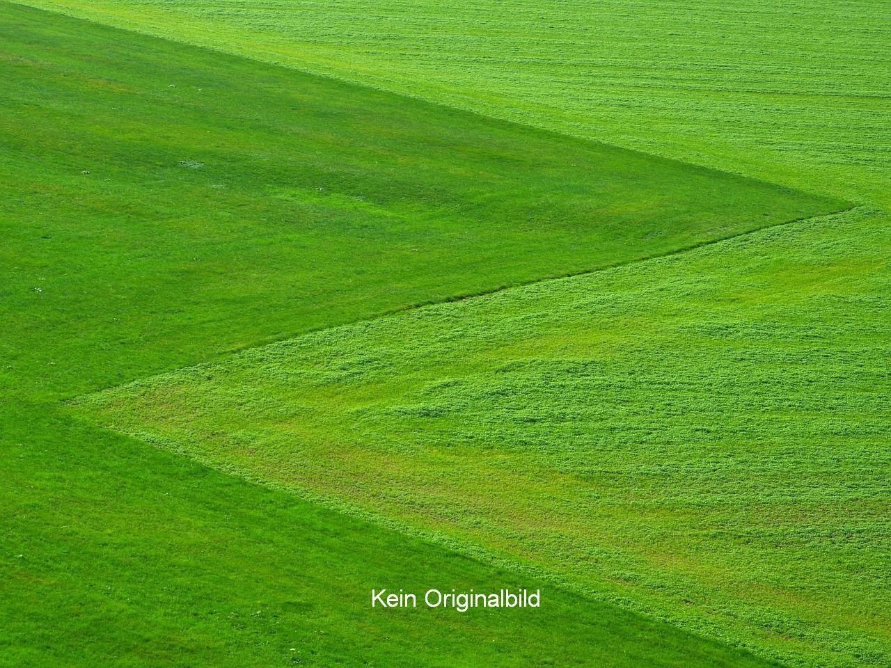 Gewerbegrundstück zum Kauf Horheim Wutöschingen 79793