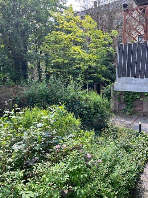 Property thumbnail 26