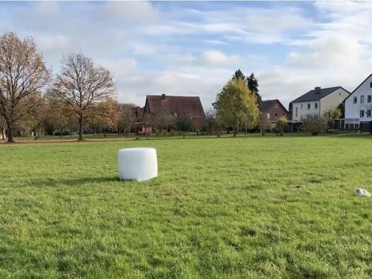 Grundstück zum Kauf 175.000 € 5.000 m² Grundstück Evesen Bückeburg 31675