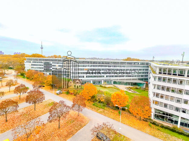 Bürofläche zur Miete provisionsfrei 13,75 € 651 m² Bürofläche Fahrlach Mannheim / Schwetzingerstadt Oststadt 68165