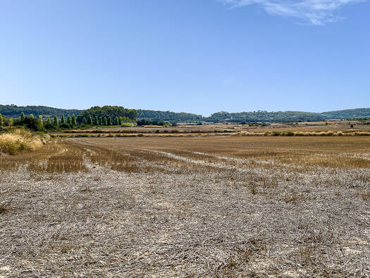 Grundstück zum Kauf provisionsfrei 170.000 € 14.207 m² Grundstück Sant Joan 07240