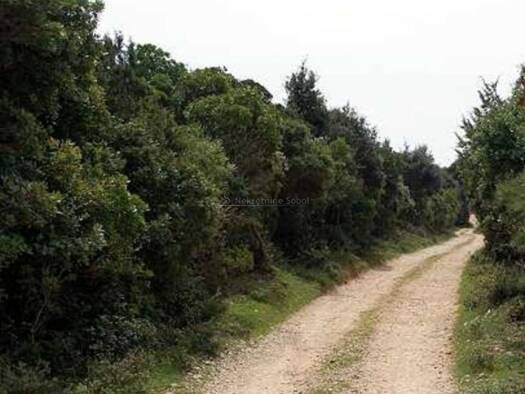 Haus zum Kauf 460.000 € 72 m² Mali Losinj