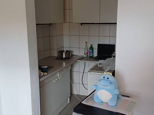 Studio zur Miete 410 € 1 Zimmer 22 m² Geschoss 1/4 frei ab 01.08.2026 Rödelheim Frankfurt am Main 60489