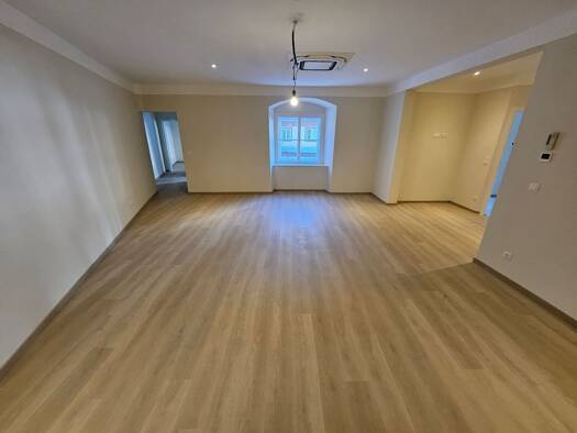 Wohnung zur Miete 20,75 € 3 Zimmer 93 m² Innere Stadt 1010