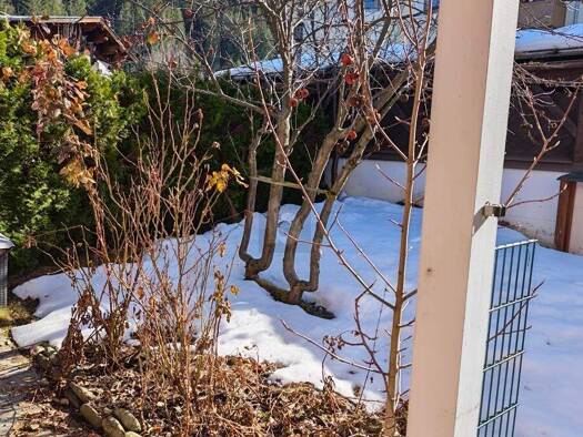 Reihenendhaus zum Kauf 1.200.000 € 4 Zimmer 100 m² Kirchberg in Tirol 6365