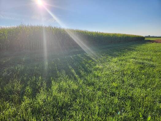 Land-/Forstwirtschaft zum Kauf 140.000 € 11.171 m² Grundstück Asch Fuchstal 86925