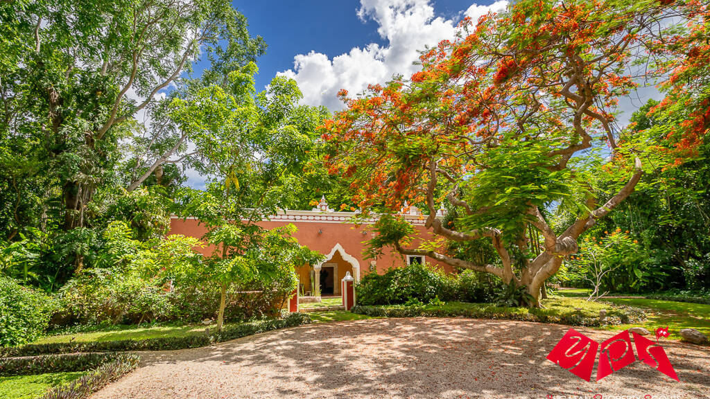 Villa zum Kauf 4.759.139 € 1.661 m² 312.500 m² Grundstück Merida Merida