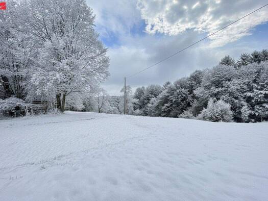 Haus zum Kauf 530.000 € 3 Zimmer 80 m² 40.500 m² Grundstück Wies 8542