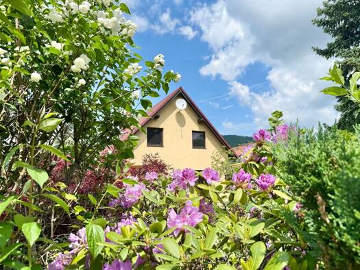 Einfamilienhaus zum Kauf 429.990 € 4 Zimmer 110 m² 501 m² Grundstück Hosterwitz/Pillnitz Dresden 01326