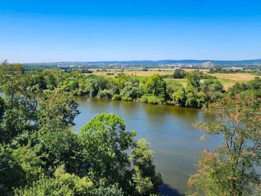 Haus zum Kauf 1.100.000 € 6 Zimmer 177 m² 473 m² Grundstück Mainblick Kelsterbach 65451