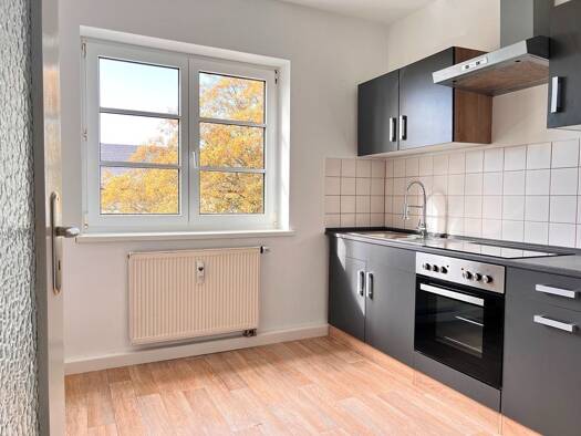 Wohnung zur Miete 350 € 3 Zimmer 62,8 m² Nach dem Taubenberg 10 Reusa Plauen 08529