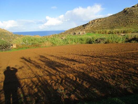 Land-/Forstwirtschaft zum Kauf 145.000 € Municipality of Naxos and the Lesser Cyclades 843 02
