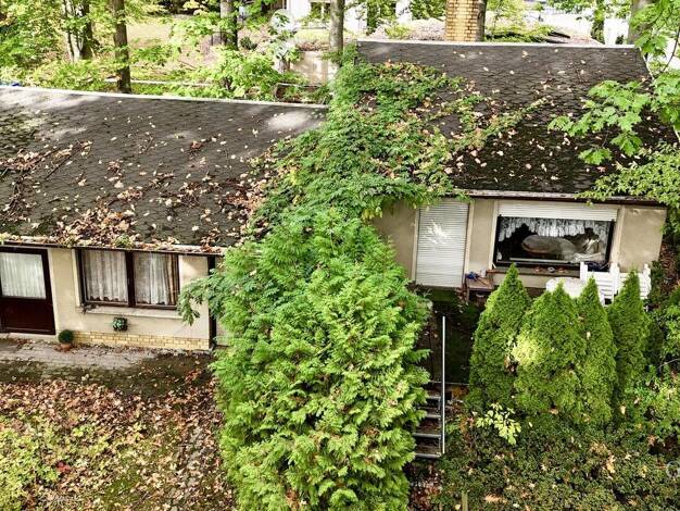 Einfamilienhaus zum Kauf 379.000 € 2 Zimmer 60 m² 940 m² Grundstück Holzhausen Leipzig 04288
