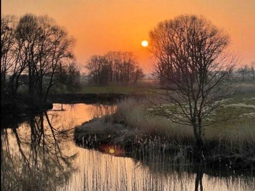 Wohnung zur Miete 1.350 € 5 Zimmer 180 m² Geschoss EG/2 frei ab 01.03.2026 Borsfleth 25376