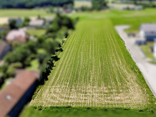 Grundstück zum Kauf 119.000 € 850 m² Grundstück Kirchstetten 3062