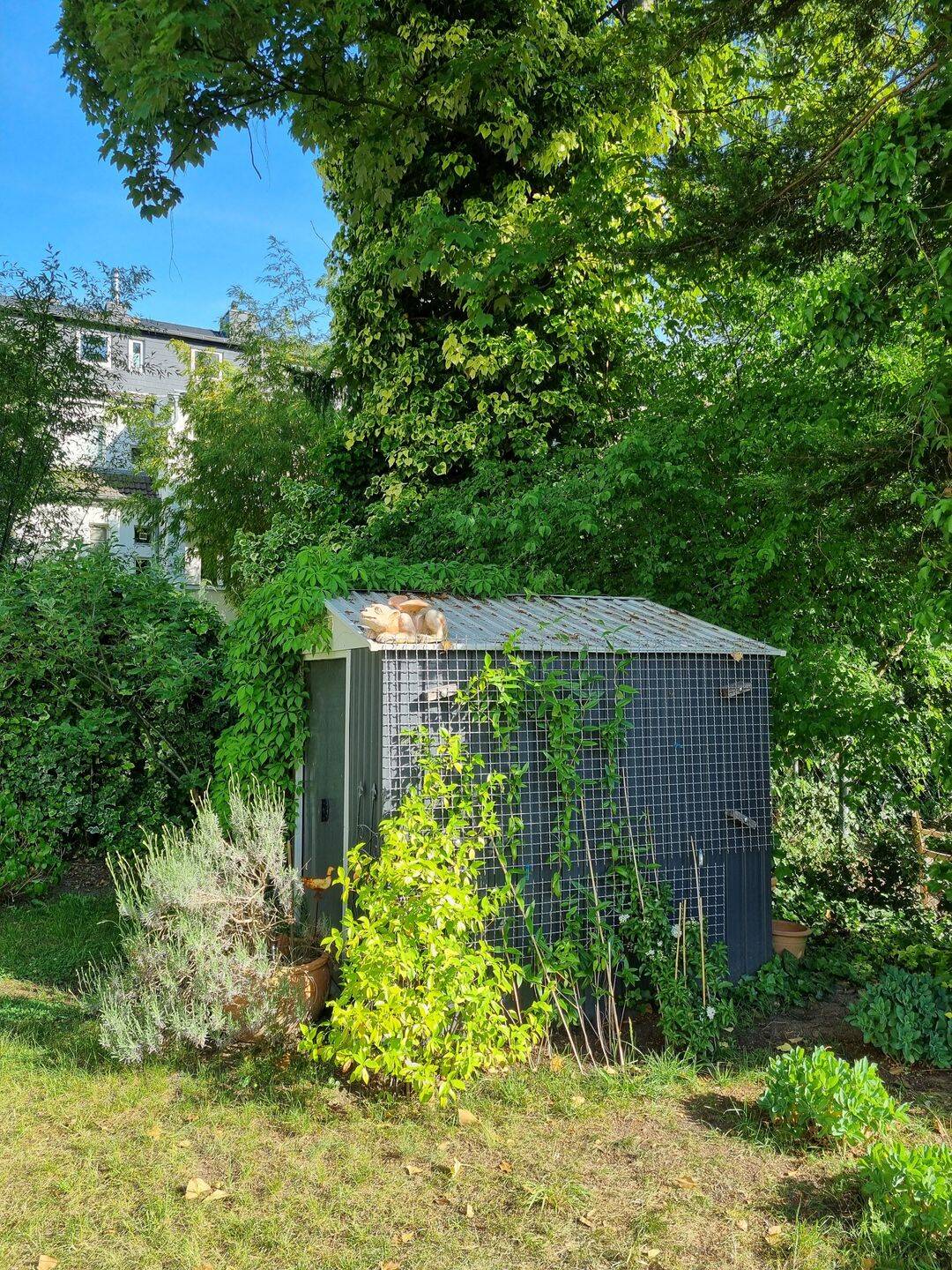 Property thumbnail 5