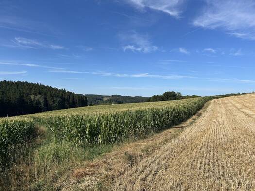 Land-/Forstwirtschaft zum Kauf 245.000 € 18.000 m² Grundstück Wetzl Zeilarn 84367