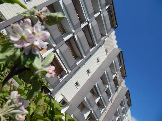 Wohnung zur Miete 540 € 3 Zimmer 60 m² 4. Geschoss Teichstraße 38 Schkeuditz 04435