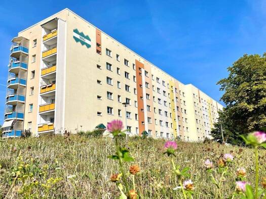 Wohnung zur Miete 412 € 3 Zimmer 68,9 m² 4. Geschoss frei ab sofort Stauffenbergstraße 51/4L Altenburg 04600