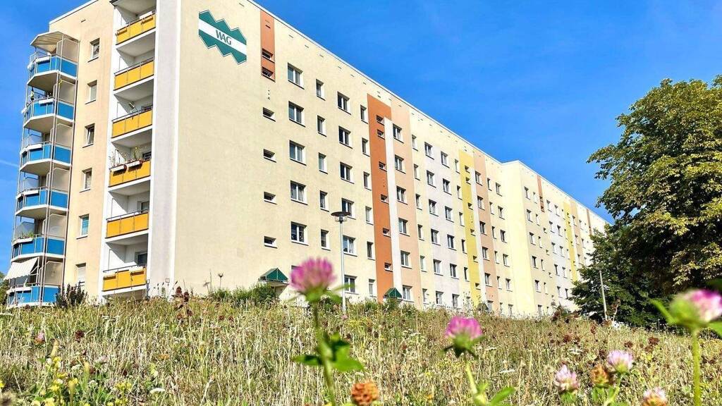 Wohnung zur Miete 412 € 3 Zimmer 68,9 m² 4. Geschoss frei ab sofort Stauffenbergstraße 51/4L Altenburg 04600