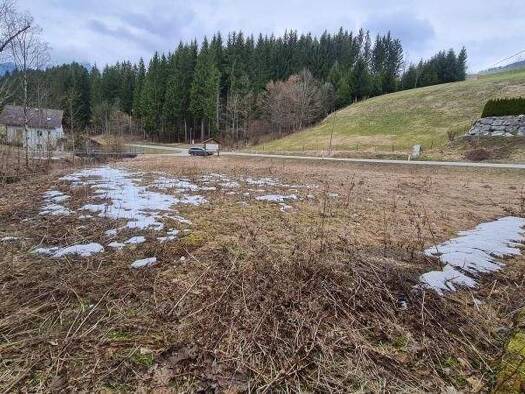 Grundstück zum Kauf 119.800 € 1.001 m² Grundstück Vorderstoder 4574