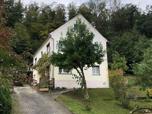 Einfamilienhaus zum Kauf 4 Zimmer 90 m² 3.600 m² Grundstück frei ab sofort Elbstraße 11 Neuhirschstein Hirschstein 01594