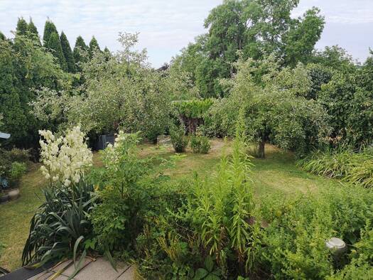 Doppelhaushälfte zur Miete 1.700 € 6 Zimmer 145 m² 500 m² Grundstück frei ab 01.11.2025 Bollingen Dornstadt 89160