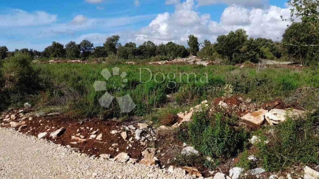 Land-/Forstwirtschaft zum Kauf 41.840 € Vodnjan