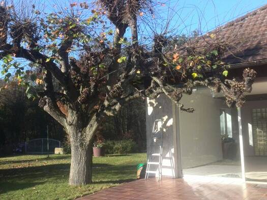 Grundstück zum Kauf provisionsfrei 1.200.000 € 1.767 m² Grundstück Mühlhof Nürnberg 90453