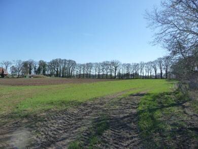 Land-/Forstwirtschaft zum Kauf 11.876 m² Grundstück Altstadt Quakenbrück 49610