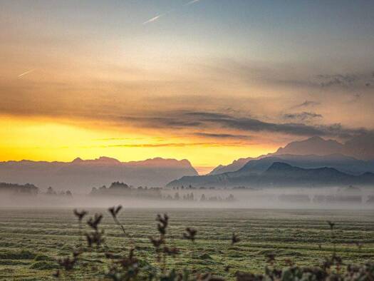 Grundstück zum Kauf 1.360.000 € 1.249 m² Grundstück Salzburg 5020