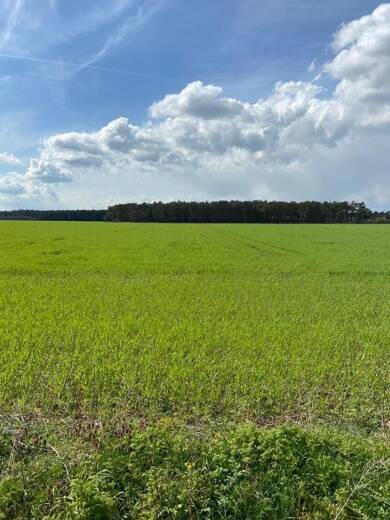 Landwirtschaftliche Fläche zum Kauf 38.755 m² Grundstück Gardelegen Gardelegen 39638