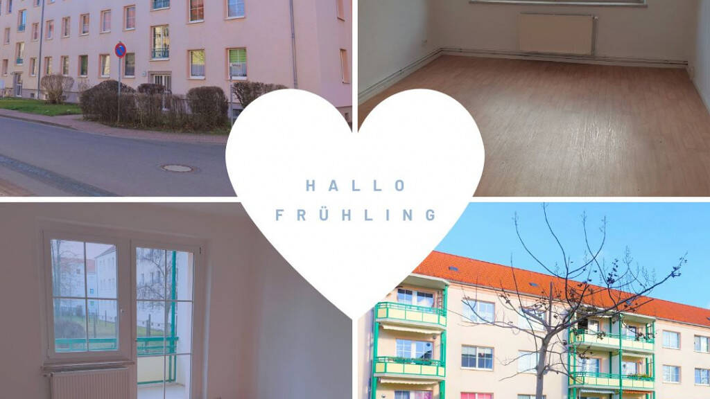 Wohnung zur Miete 429 € 3 Zimmer 59,6 m² EG frei ab 01.07.2026 Goethestraße 14 Braunsbedra 06242