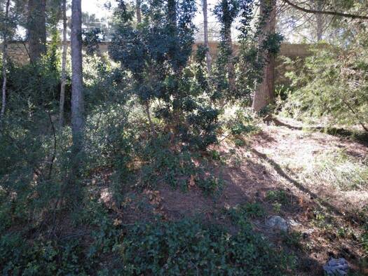 Acker-/Waldstück zum Kauf 39.000 € Gestalgar 46388