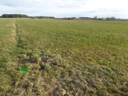 Land-/Forstwirtschaft zum Kauf 310.245 € 45.062 m² Grundstück Neuendettelsau Neuendettelsau 91564