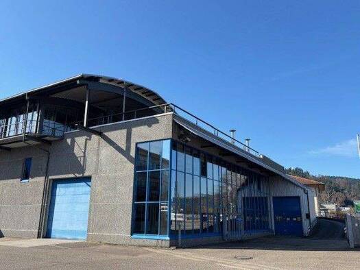 Lagerhalle zur Miete 2.611 m² Lagerfläche teilbar ab 460 m² Haslach im Kinzigtal 77716
