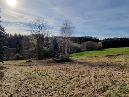 Grundstück zum Kauf 330.000 € 1.483 m² Grundstück Pressbaum 3021